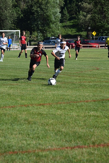 坚持与拼搏 坚持与拼搏