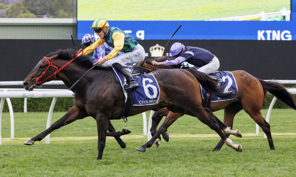 就曾因为续 就曾因为续