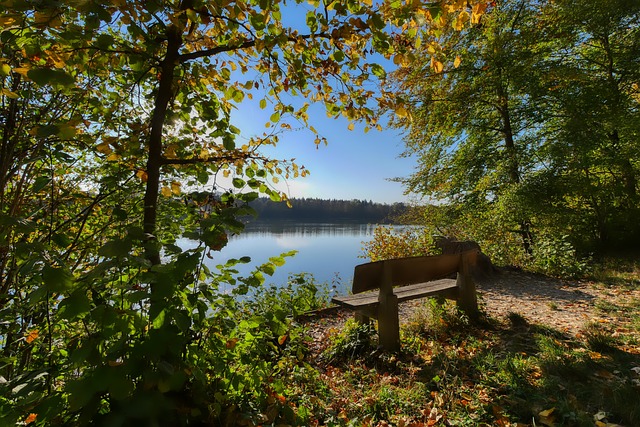 苏丹武装部队称在该国中部取得重大军事进展.